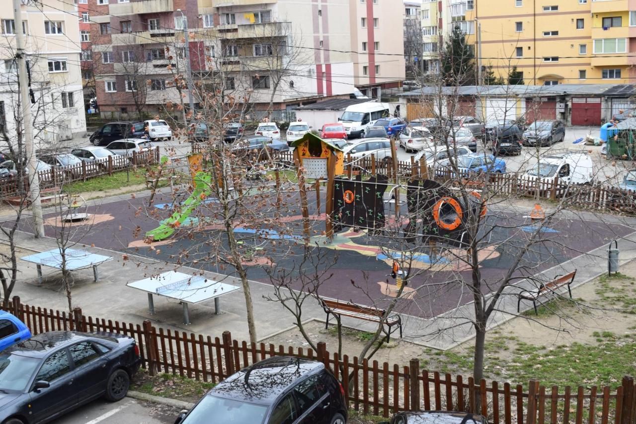 Zippi Republicii Rhbm
